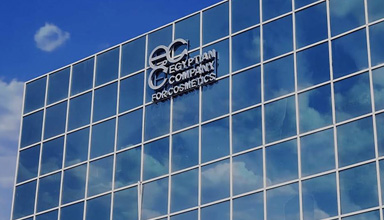 Building a Culture of Belonging: The ECC Group Story