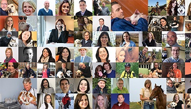 How Zoetis encourages employees to develop personally and professionally